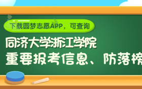 同济大学浙江学院是野鸡大学吗？是正规学校吗？公办还是民办？