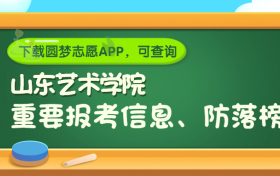 山东艺术学院是野鸡大学吗？是正规学校吗？公办还是民办？