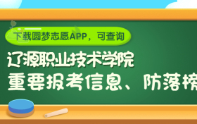 辽源职业技术学院是野鸡大学吗？是正规学校吗？公办还是民办？