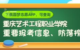 重庆艺术工程职业学院是野鸡大学吗？是正规学校吗？公办还是民办？