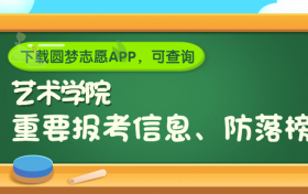 中国人民解放军艺术学院是野鸡大学吗？是正规学校吗？公办还是民办？