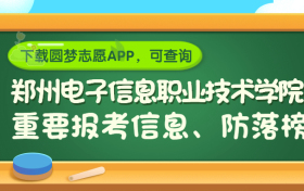 郑州电子信息职业技术学院是野鸡大学吗？是正规学校吗？公办还是民办？