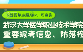 武汉大学医学职业技术学院是野鸡大学吗？是正规学校吗？公办还是民办？