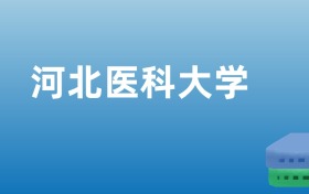 211大学最新排名一览表（116所）