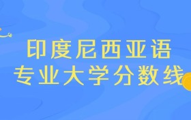 2025年印度尼西亚语专业录取分数线排名：广东外语外贸大学最强