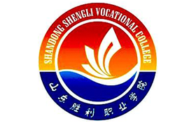 2025年山东胜利职业学院录取分数线：各省高考最低分是220