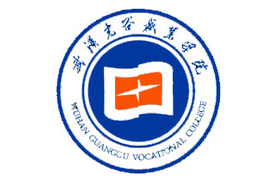2025武汉光谷职业学院录取分数线（全国各省最低分及位次）