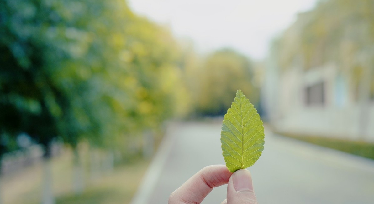 2020吉林文科500分推荐去哪？500多分能考上吉林大学吗？