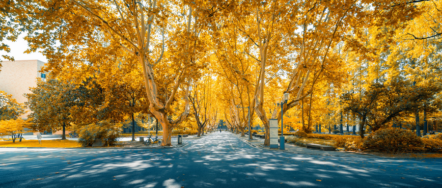 2020全国四非一本大学排名：比较厉害的四非大学（校友会版）