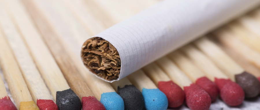 全国烟草专业大学排名录取分数线表（2025参考）