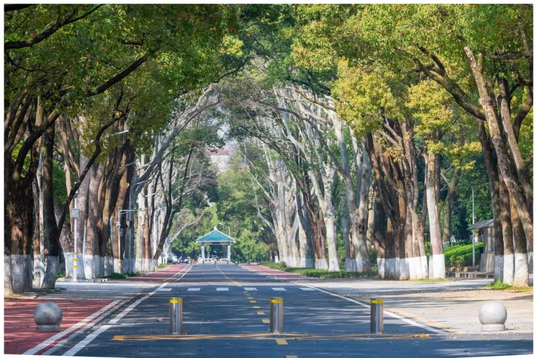 華中師范大學多少分能上？附華中師范大學2021錄取分數(shù)線最全匯總