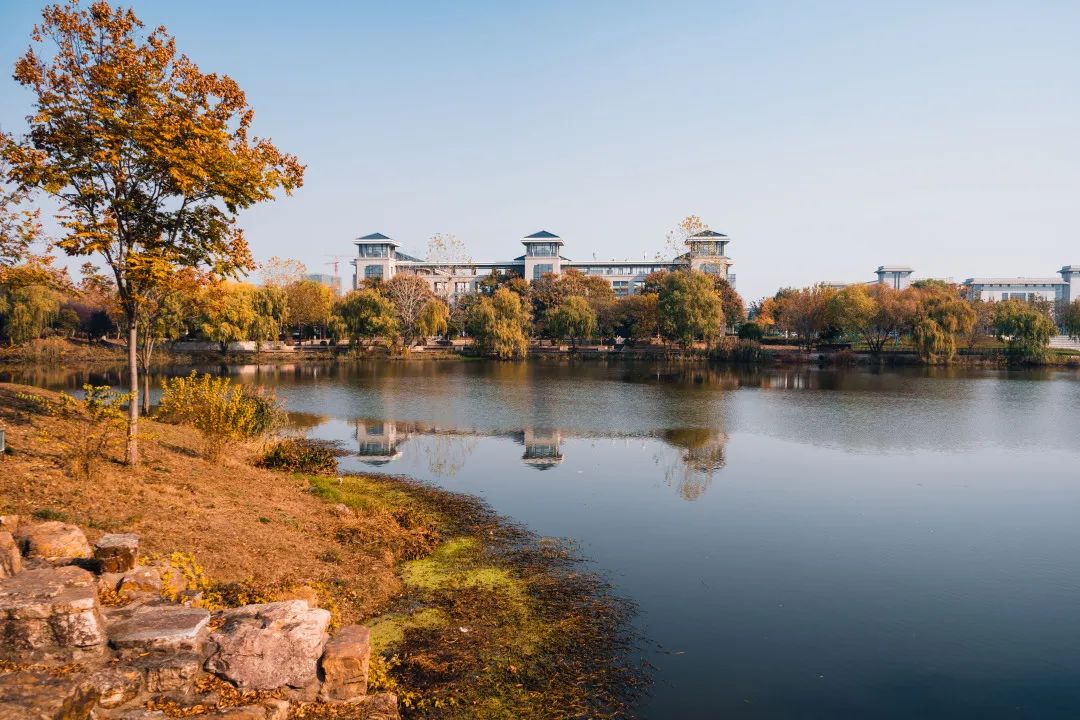 东南大学排名第几？算顶尖985高校吗？东南大学和武汉大学谁更强？