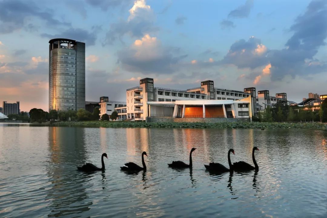 上海复旦和浙江大学哪个更好?复旦大学真的不如浙大了吗?