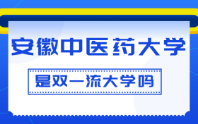 211大学最新排名一览表（116所）