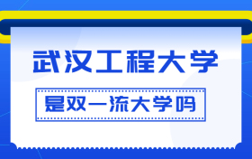 武汉工程大学是双一流大学吗？是一流学科建设高校吗？算是名校吗？