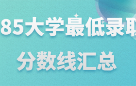 985大學(xué)最低錄取分?jǐn)?shù)線各省匯總-2022適合撿漏的985大學(xué)