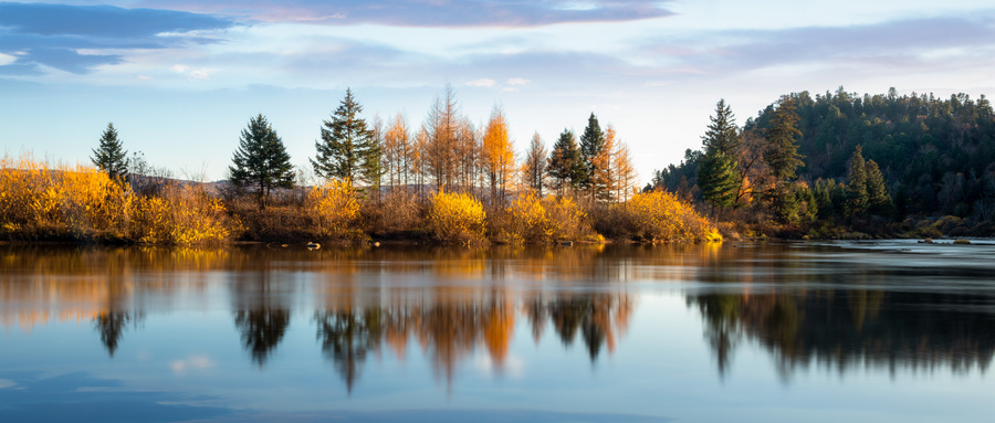 2023年上海交通大学的专科专业最低分数线