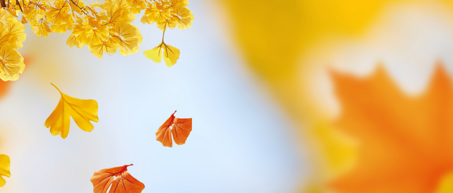 2023江南十校高三10月联考理综试卷及答案详解！（考后更新）