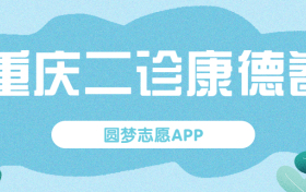 2023重庆二诊康德卷化学试卷及答案解析汇总