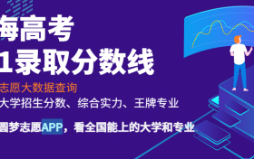 211大学最新排名一览表（116所）