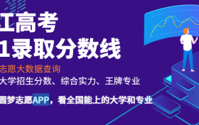 211大学最新排名一览表（116所）