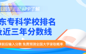 山东专科院校排名最新排行榜-山东十大最好的专科学校（2023参考）