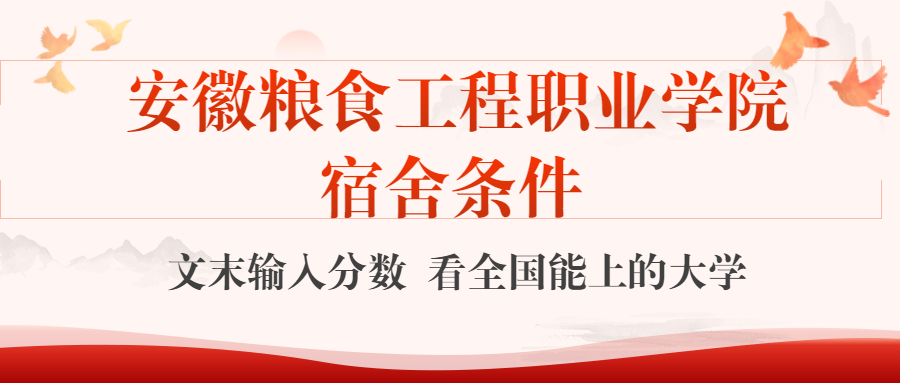 安徽粮食工程职业学院宿舍怎么样？几人间？含寝室图片