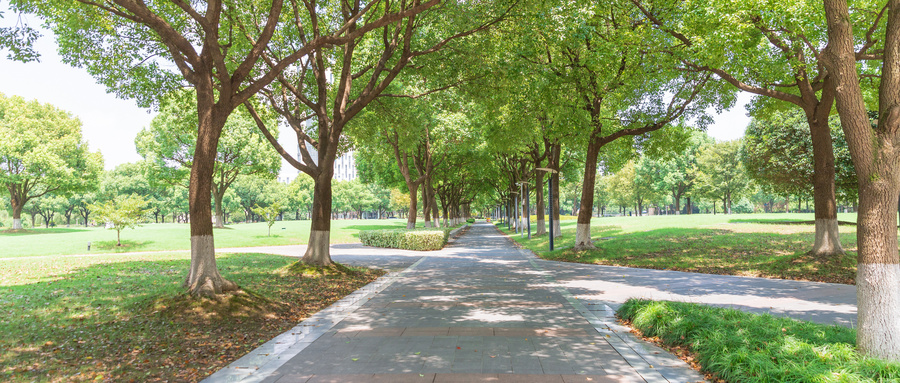 华东理工大学有专科吗?附学费标准