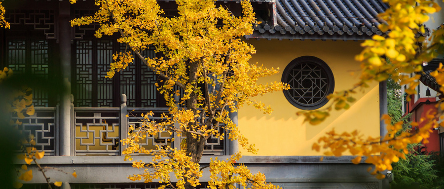 张雪峰谈南京医科大学：放弃985去南京医科大学值吗？